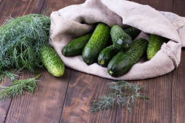 Ham organik salatalık yemeye hazır