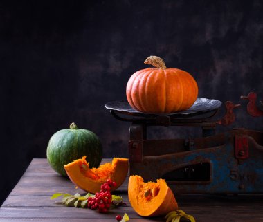 Sonbahar, balkabakları ve çiçeklerle dolu bir hayattır.