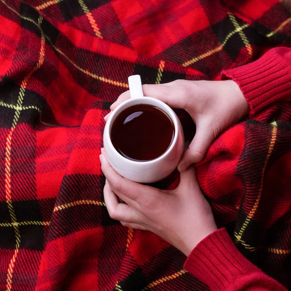 Warme mok thee opwarming van de aarde dames handen in rode wollen trui. — Stockfoto
