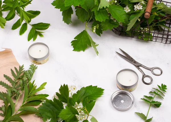 Composition des fleurs. Espace de travail avec feuilles vertes. Vue de dessus, plan plat . — Photo