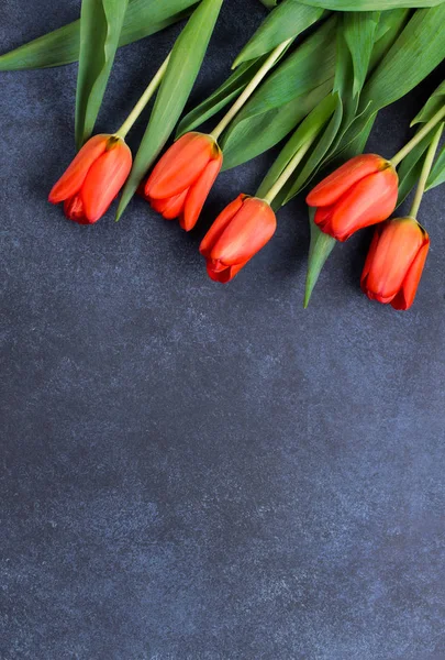 Laleler koyu mavi zemin üzerine