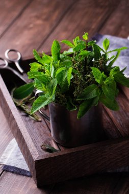 rustik ahşap zemin üzerinde taze nane