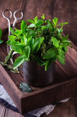 rustik ahşap zemin üzerinde taze nane