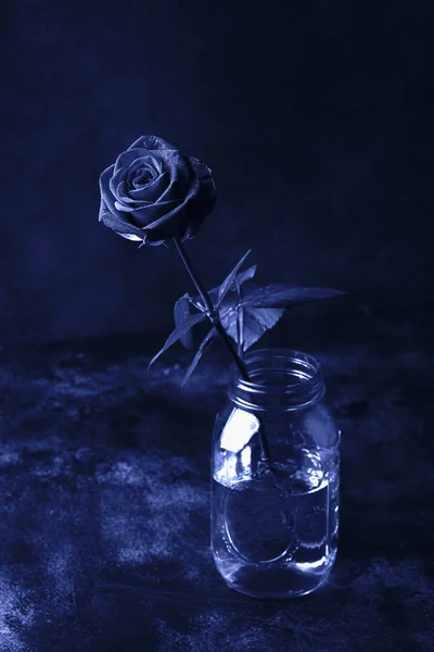 Uma rosa vermelha sobre um fundo preto, tonificado na cor azul clássico. Cor na moda 2020 ano — Fotografia de Stock