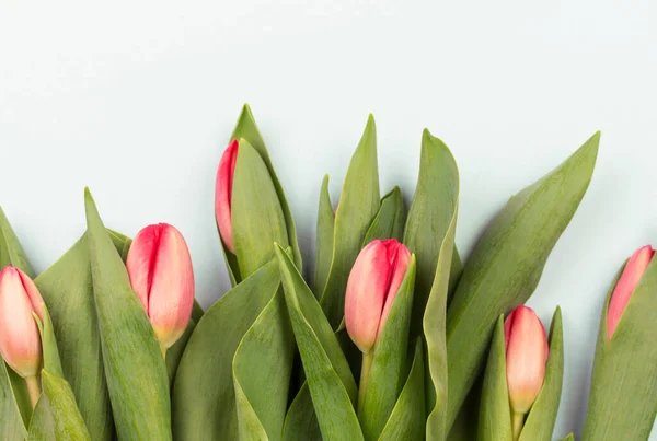 Buquê de flores de tulipa branca fresca na frente da parede de tijolo branco . — Fotografia de Stock