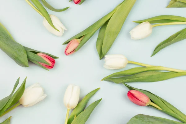 Färsk vit tulpan blommor bukett framför vit tegelvägg. — Stockfoto