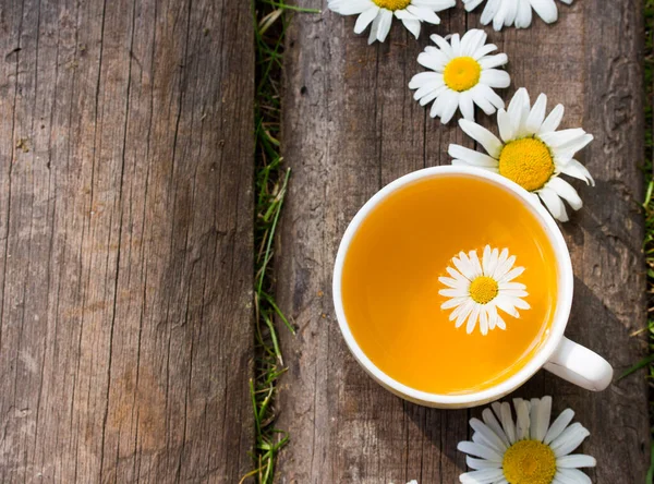 Kopje kruidenthee met kamillebloemen — Stockfoto