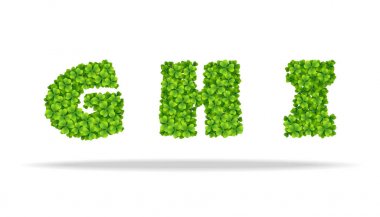 Alfavit yonca yaprakları. Harfler GSS.