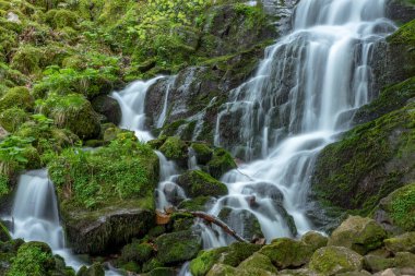 İlkbaharda bir dağ ormanında şelale