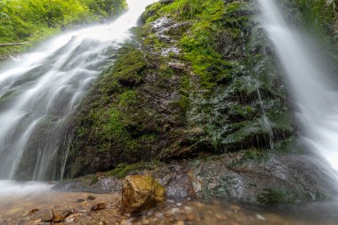 Vosges dağlarındaki yosunlu kayaların üzerine şelale düşüyor.
