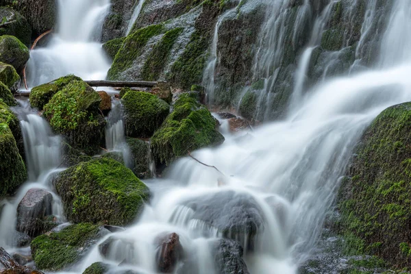 Cascata Una Foresta Montagna Primavera — Foto Stock