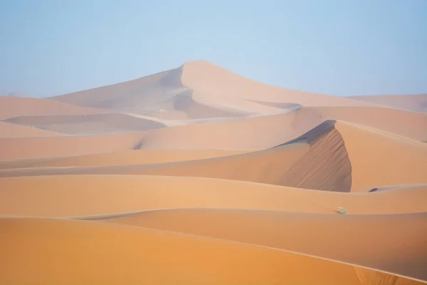 Erg Chebbi Dunas Morocco — Fotografia de Stock