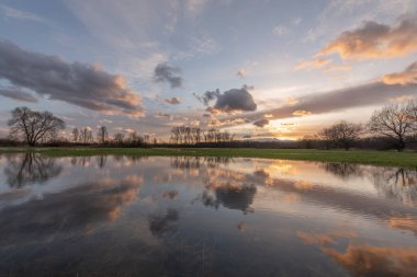 Bulutlu gökyüzü sudaki çayırlarda yansıyor.