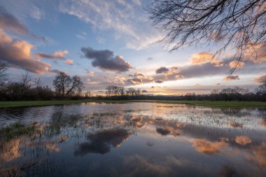Bulutlu gökyüzü sudaki çayırlarda yansıyor.