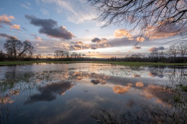 Bulutlu gökyüzü sudaki çayırlarda yansıyor.