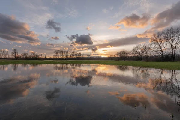 Bewölkter Himmel Spiegelt Sich Wasser Auf Einer Überfluteten Wiese — Stockfoto