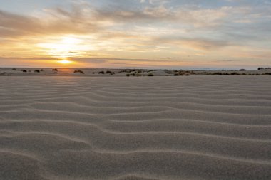 Camargue 'deki espiguette plajında gün batımı