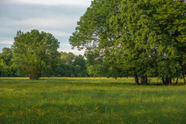 Fransız kırsal arazisi ilkbaharda