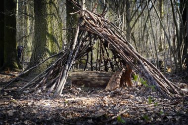 Ormandaki dal ve dallardan yapılmış kulübeyi yapıştır.. 