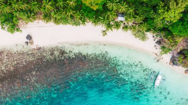 İnsanlar tropikal bir mercan resifinin yakınındaki bir adada şnorkelle yüzüyor. El Nido, Palawan, Filipinler.