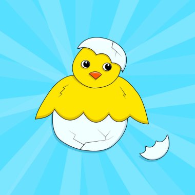 Mavi bir arka plan üzerinde kabuğundaki piliç. Küçük