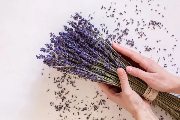 Lavande Sèche Bouquet Sur Fond Clair Style Provençal Fleurs Dans — Photo