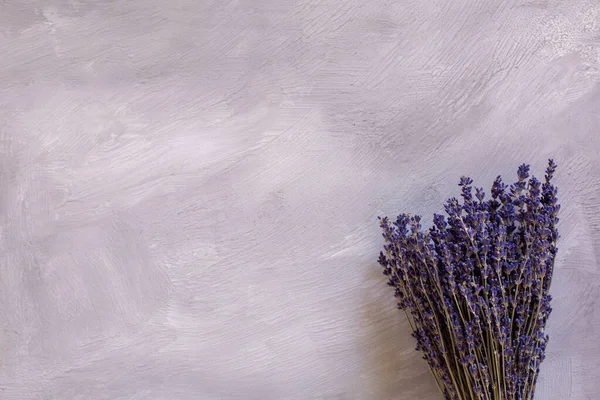 Lavanda Seca Buquê Contexto Leve Estilo Provence — Fotografia de Stock