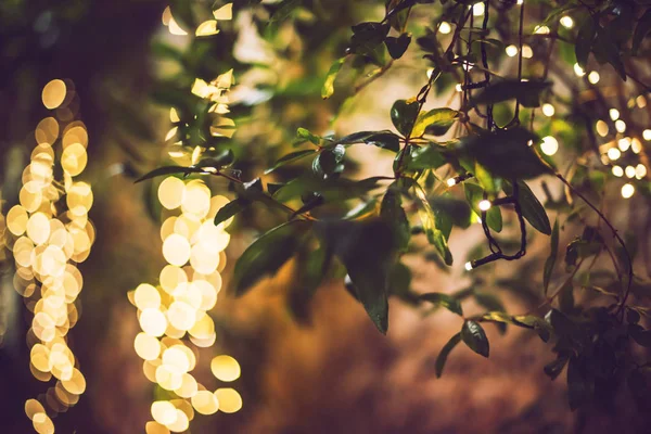 Decoratie-licht kerstviering opknoping op boom, abstract — Stockfoto