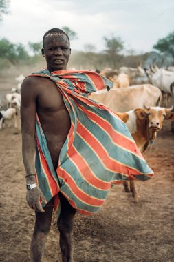 MUNDARI TRIBE, Güney Sudan 'da rüzgarlı bir havada savanda kahverengi inek sürüsüne karşı dururken renkli giysiler içinde kameraya güvensizce bakan genç bir çoban.