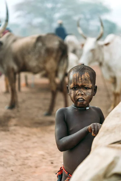 MUNDARI TRIBE, SOUTH SUDAN - MARCH 11, 2020: Boy with painted face looking at camera while working near cattle on pasture of Mundari Tribe village in South Sudan, Africa — Stock Photo, Image