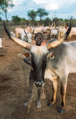 MUNDARI TRIBE, Güney SUDAN - 11 Mart 2020: Mundari Kabilesi 'nden bir çocuk gülümseyip kameraya bakarken Güney Sudan, Afrika' da otlakta sürüye karşı Ankole Watusi ineğinin arkasında duruyor