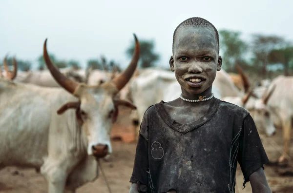 MUNDARI TRIBE, SOUTH SUDAN - MARCH 11, 2020: Boy from Mundari Tribe smiling and looking at camera while standing behind Ankole Watusi cow against herd on pasture near village in South Sudan,
