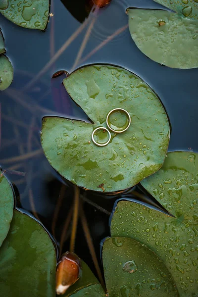 Wedding ring and water lilies. Wedding accessories. Vertical photo. Close up