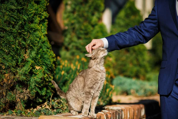 Homem Acariciando Gato Fundo Grama Fechar — Fotografia de Stock