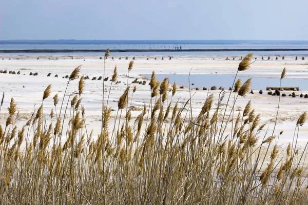 Solt mineração no lago amaizing Baskunchak — Fotografia de Stock