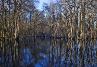 Geniş River North Carolina