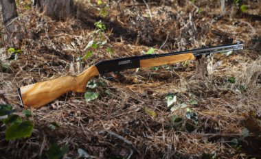 Rimfire sihir ormanda vurdu