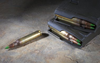 AR-15 kartuş ve dergiler