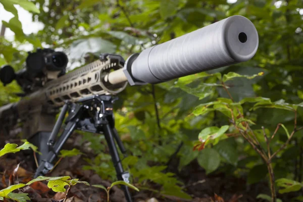Potlačené puška v lese — Stock fotografie