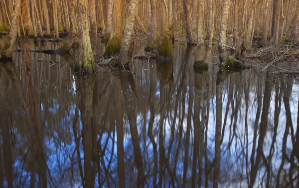 Glattes Wasser in North Carolina — Stockfoto