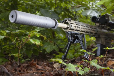 Susturucu bir Ar-15