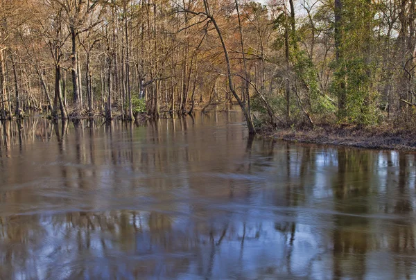 Fluss in North Carolina — Stockfoto