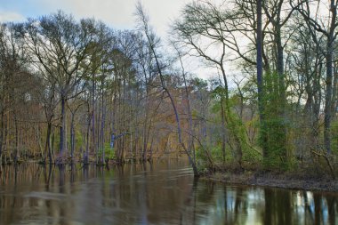 Kuzey Carolina'da pürüzsüz nehir