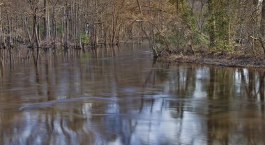 Kuzey Carolina'da yavaş nehir
