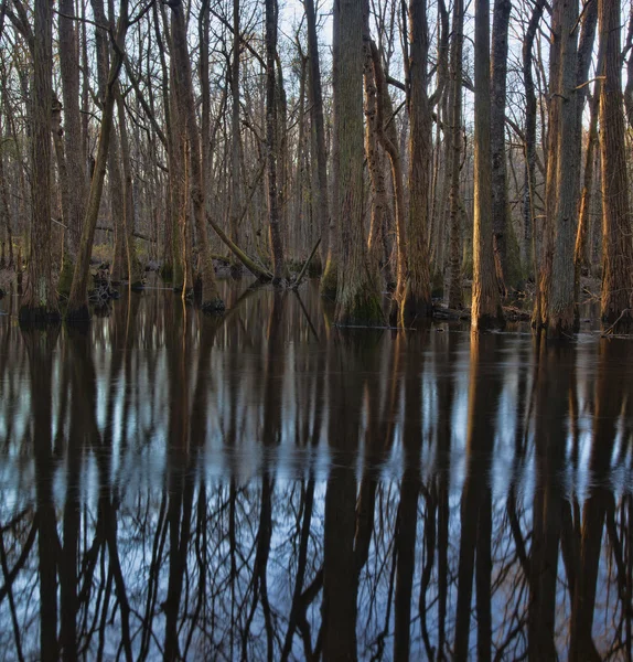 Spätfluss — Stockfoto