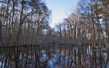 Kereste Nehri Kuzey Carolina