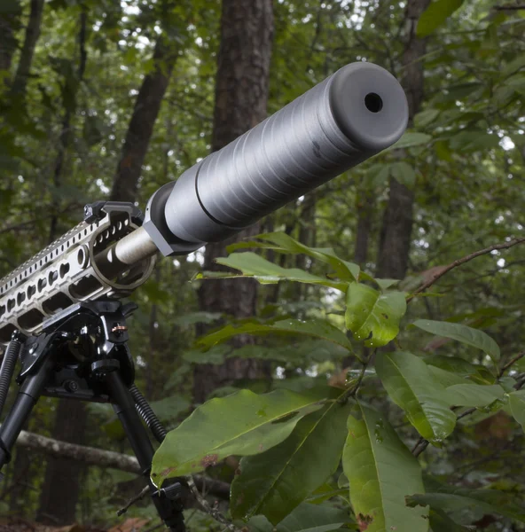 Klid zbraní v lese — Stock fotografie