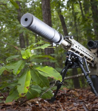 Susturucu bir Ar-15