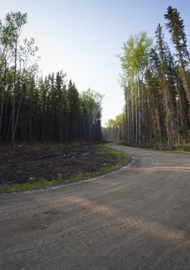 Kanada'da rüzgarlı road