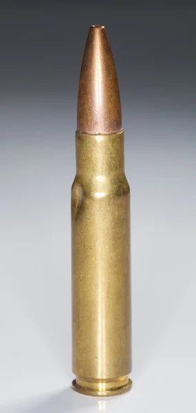 Oanvändbara gevär ammunition — Stockfoto